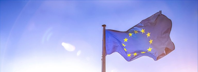 european flag european flag