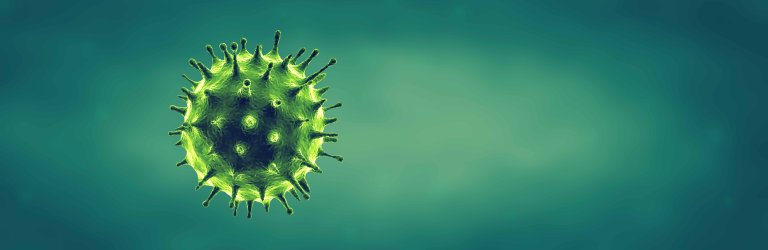 Coronavirus or Flu virus concept Coronavirus or Flu virus concept