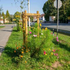 Angelegte Baumscheiben in Modau