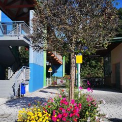 Angelegte Baumscheibe am Ober-Ramstädter Bahnhof. Oktober 2021