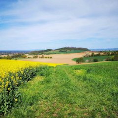 Blick auf den Roßberg von Ober-Ramstadt.