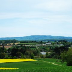 Blick auf den Sportplatz