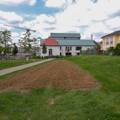 Städtische Fläche mit speziell vorbereitetem Boden im MIAG-Park. Im September 2020 wurden hier heimische Wildblumen ausgesät.
