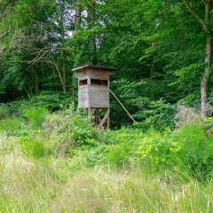 6. Naturschutzgebiete entlang der Wanderung laden zum Erholen an der frischen Luft ein.