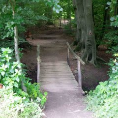 8. Die Wanderroute ist sehr abwechslungsreich: Es gibt ausgebaute Wegen und schmale Pfade.