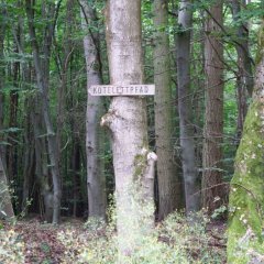 9. Kotlettpfad: Ab hier wird die Wanderung sportlich und es lässt sich wunderbar die Vielfalt der Natur beobachten.