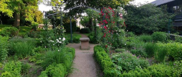 Ein Blick in den renaturierten Kräuter- und Blumengarten des Petri-Parks.