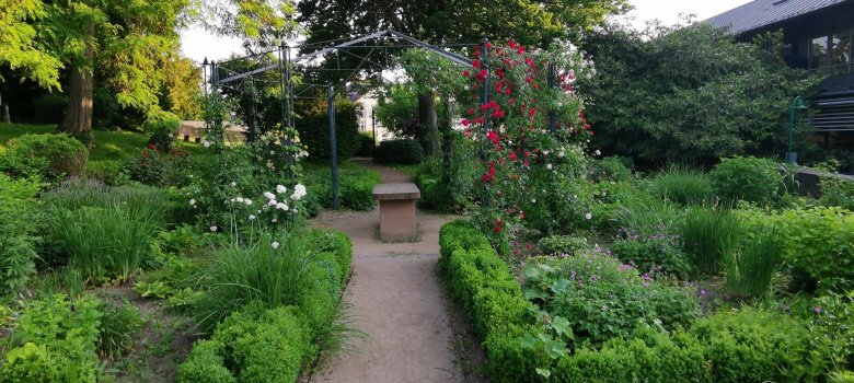 Ein Blick in den renaturierten Kräuter- und Blumengarten des Petri-Parks.
