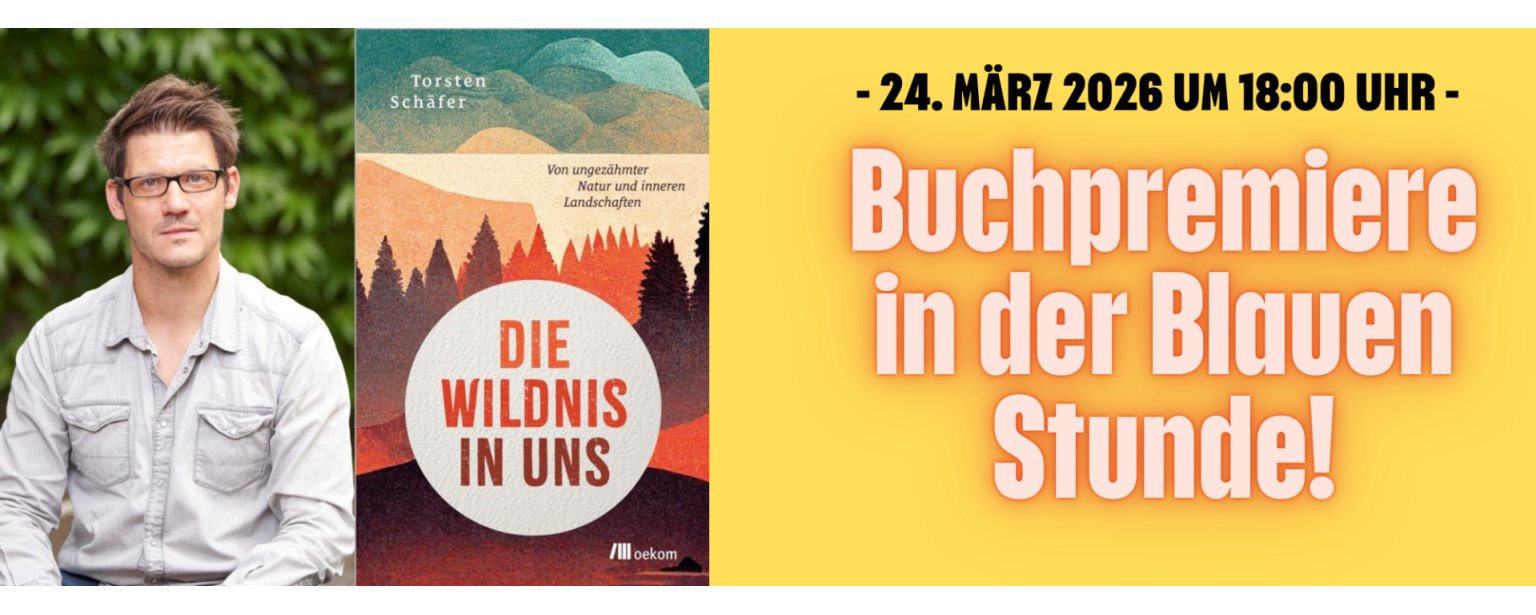 Kopie von Teaser - 1