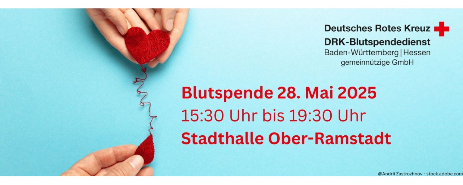 Dein Abschnittstext - 1