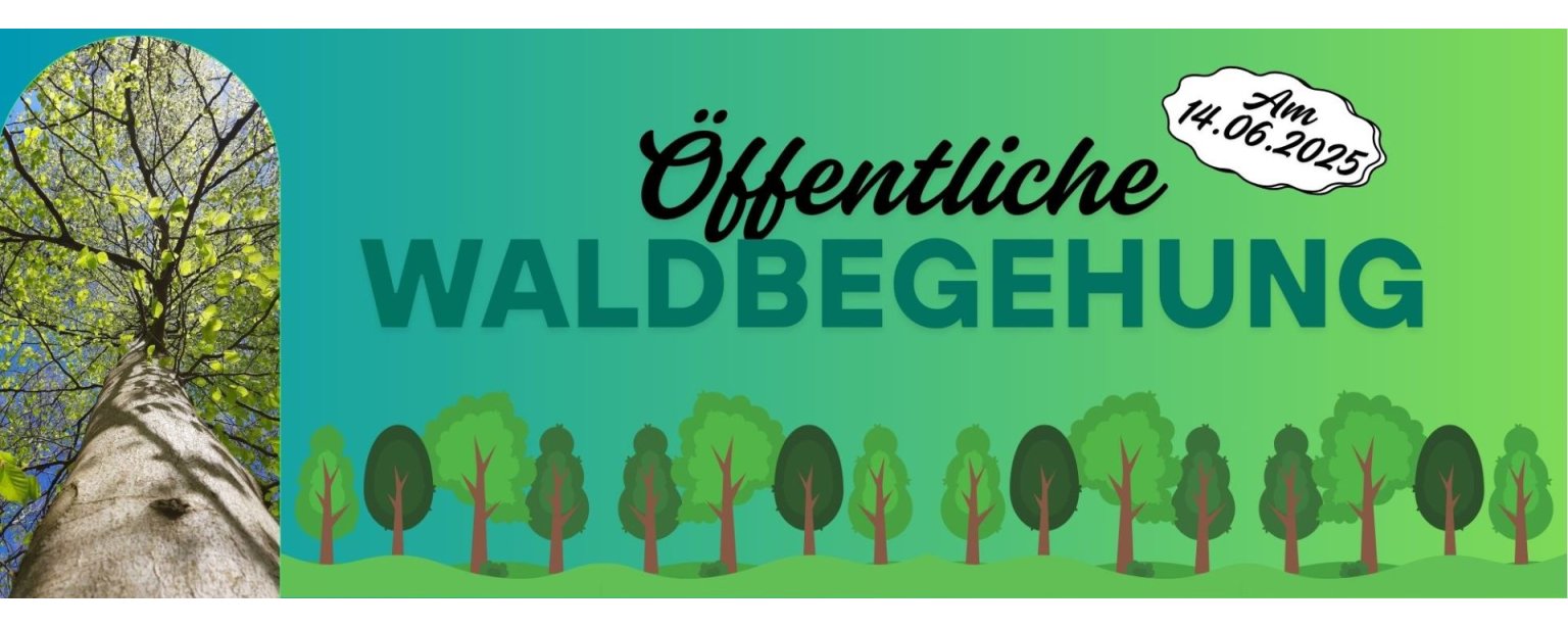 Teaser Vorlage - 1