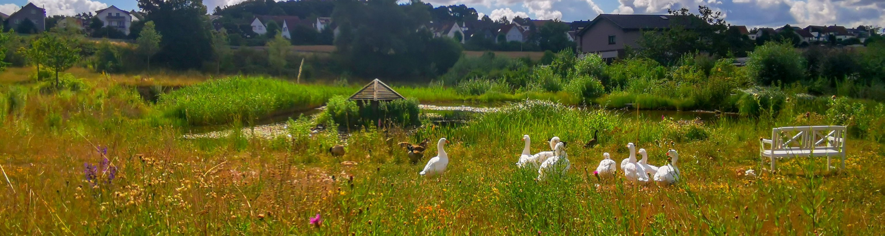 Leben Magistrat der Stadt OberRamstadt