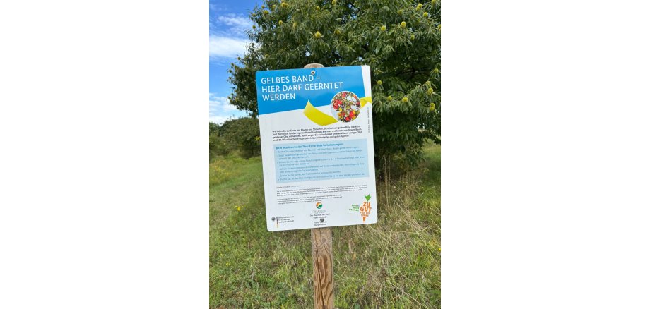 Informationsschild mit der Aufschrift ‚Gelbes Band – Hier darf geerntet werden‘ vor einem Kastanienbaum auf einer Wiese. Das Schild informiert darüber, dass markierte Bäume und Sträucher kostenlos abgeerntet werden dürfen.
