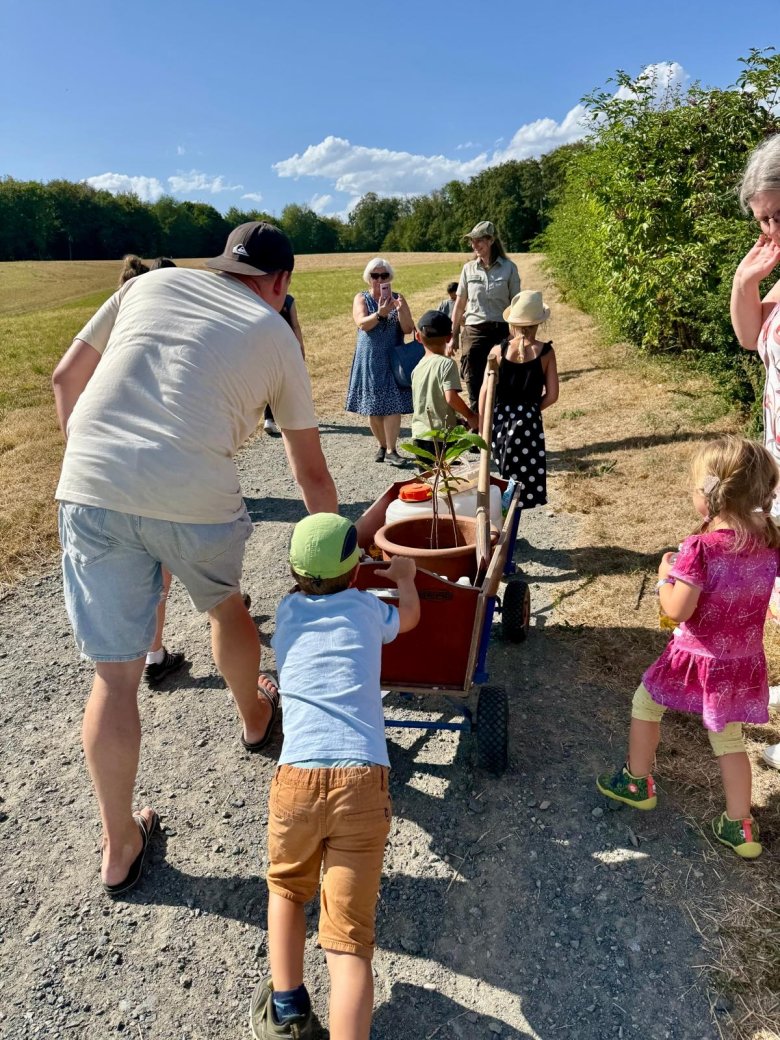 Kinder schieben einen kleinen Baum auf einem Wagen einen Weg im Wald entlang