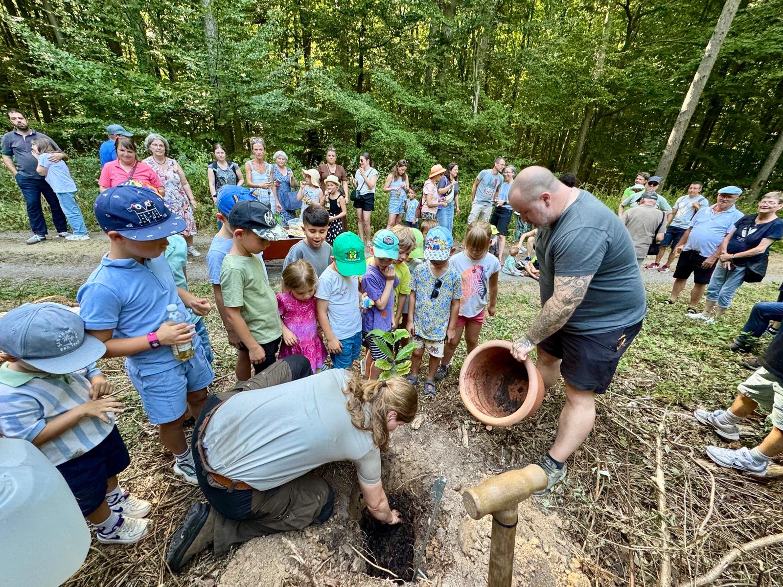 Kinder pflanzen im Wald einen Baum