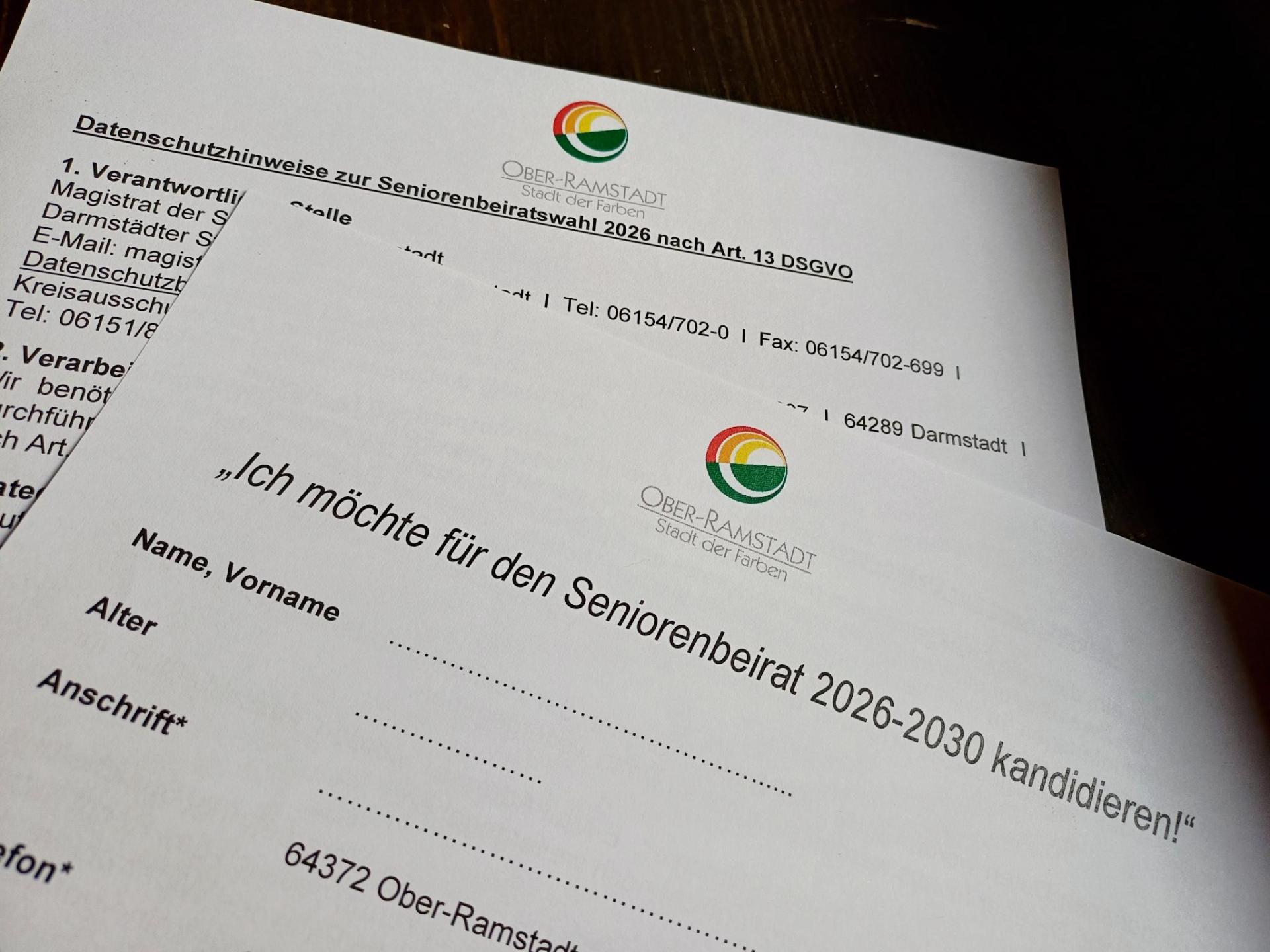 Bild des Anmeldeformulars zur Kandidatur.
