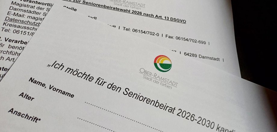 Bild des Anmeldeformulars zur Kandidatur.