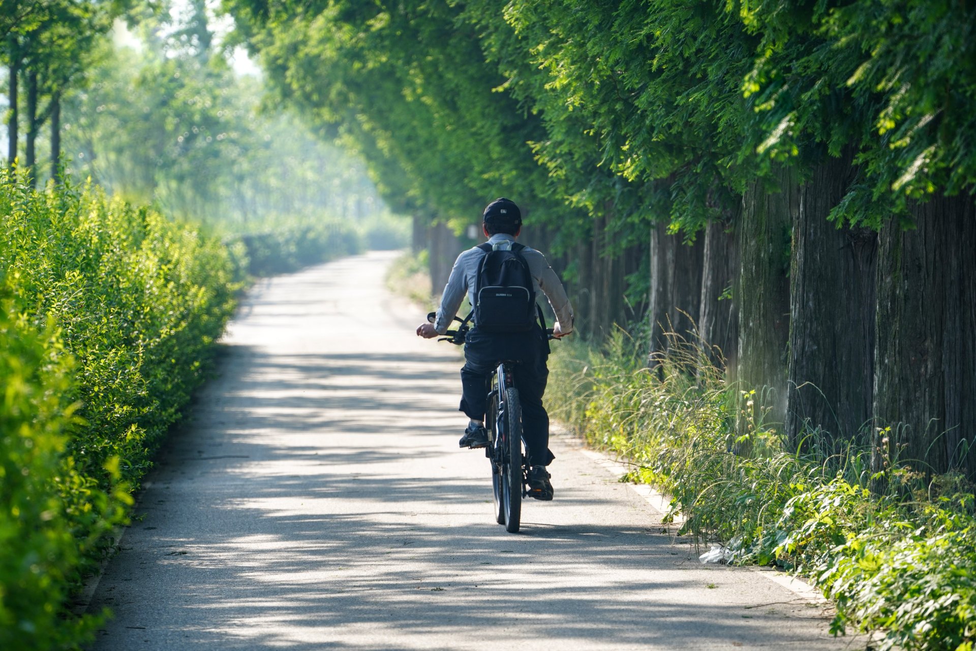 Radeln für den Klimaschutz Radfahrer auf einem idyllischen Weg durch eine grüne Landschaft
