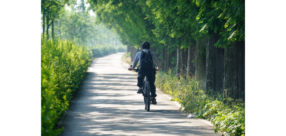 Radeln für den Klimaschutz Radfahrer auf einem idyllischen Weg durch eine grüne Landschaft